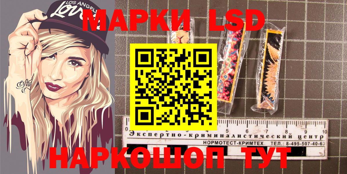 Псилоцибиновые грибы Светлоград