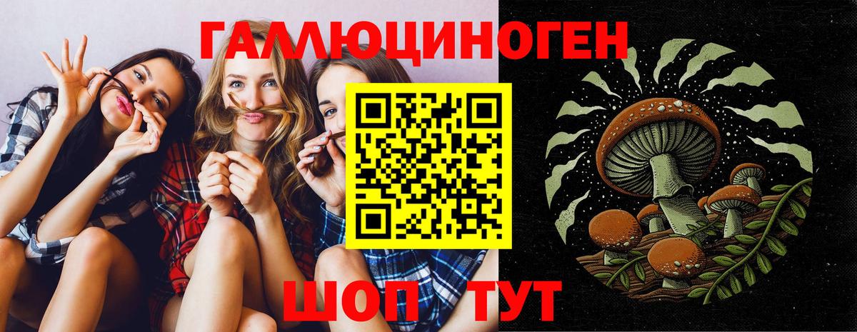 Псилоцибиновые грибы прущие грибы Светлоград